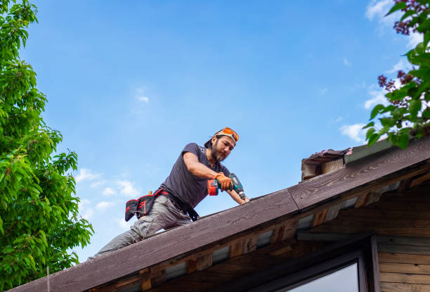 Best Roof Moss and Algae Removal  in Rising Sun, MD