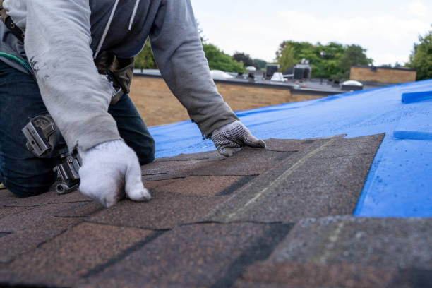 Best Green or Eco-Friendly Roofing Solutions  in Rising Sun, MD